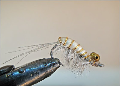 BONESHRIMP