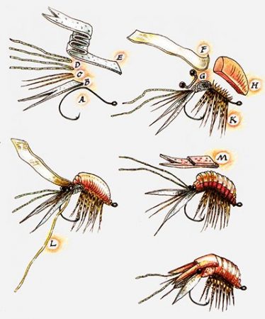 FLOATING SHRIMP