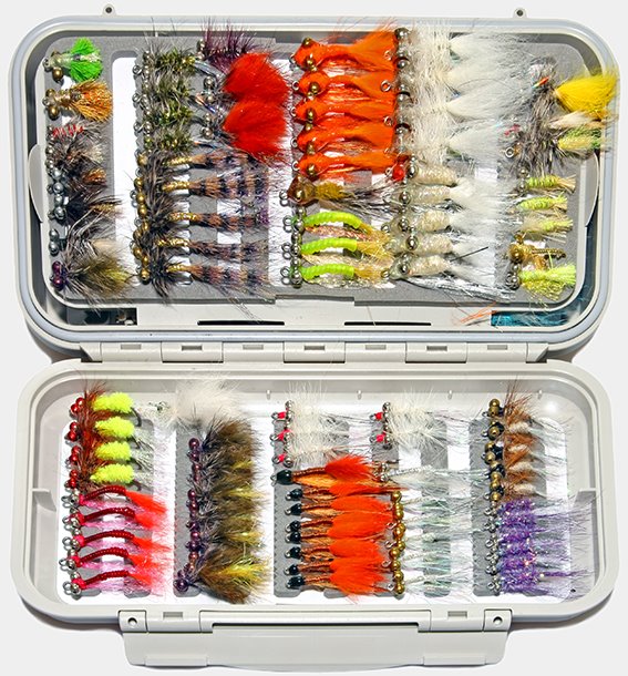 bahama flies