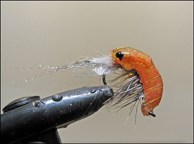 floater